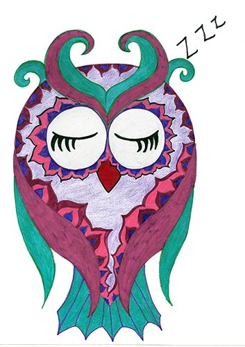 Mumu Sleeping Owl