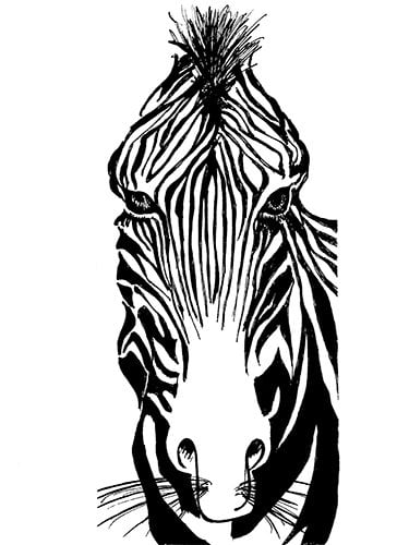 Zebra aus Wachs