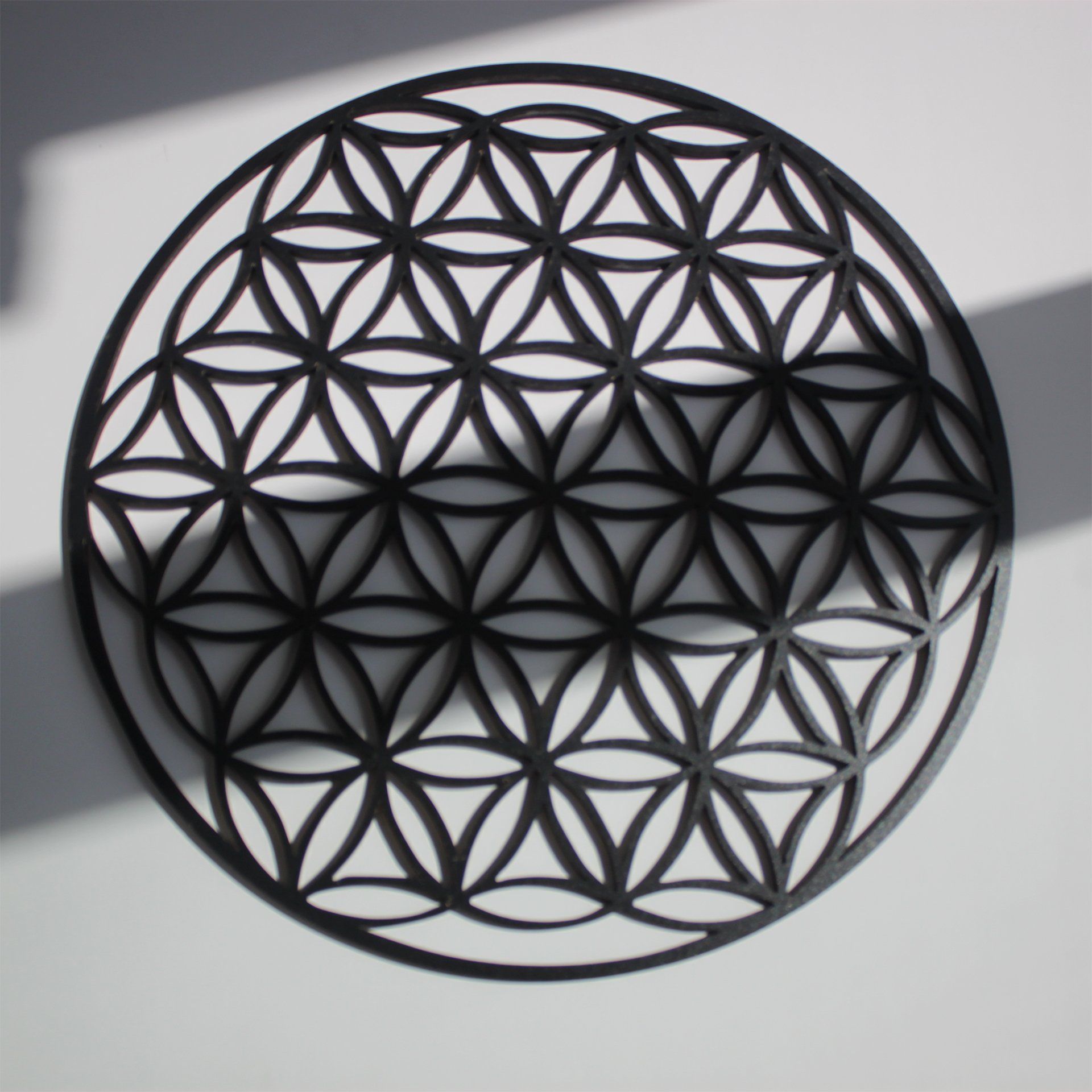 Yaşam Çiçeği Tasarım Duvar Dekor