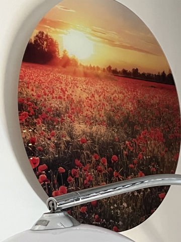 Poppy Seed Field Tempered Glass Wall Art, Shiny Appearance Design, Durable Product
