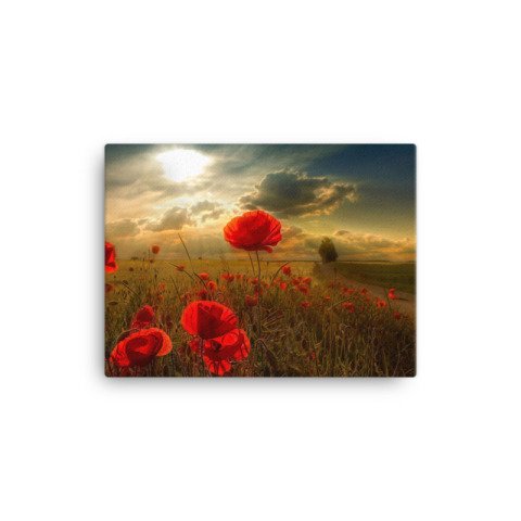 Poppy Canvas Painting