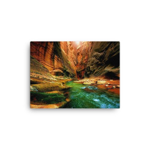 Canyon Canvas Painting