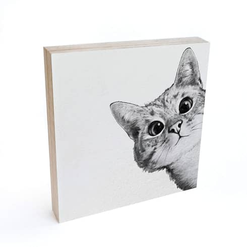 Kedi Tasarım Duvar Dekor