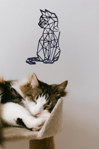 Cat Design Wall Decor
