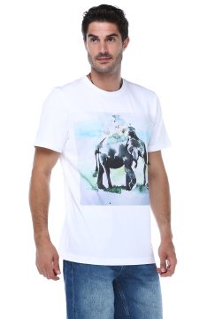 Crew Neck Printed T-Shirt